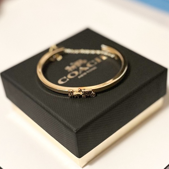 Coach Jewelry - Coach Horse & Carriage Double Chain Cuff